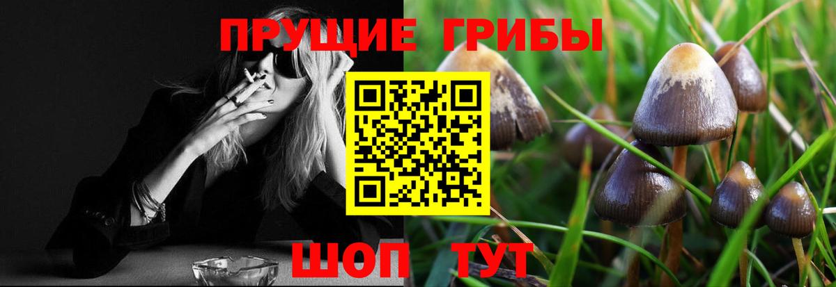 Галлюциногенные грибы прущие грибы Лянтор